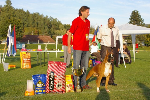 www.boxer-show.eu